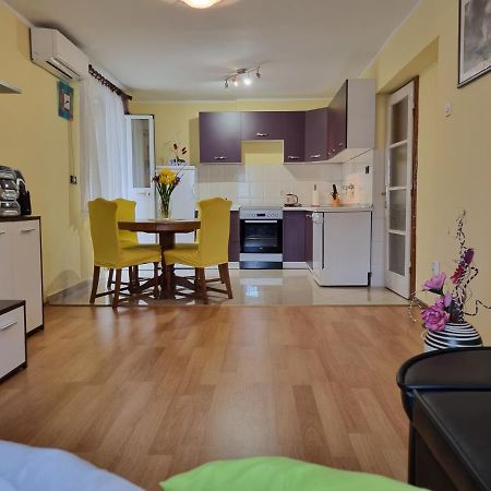 Apartment Sanja Pazin Dış mekan fotoğraf