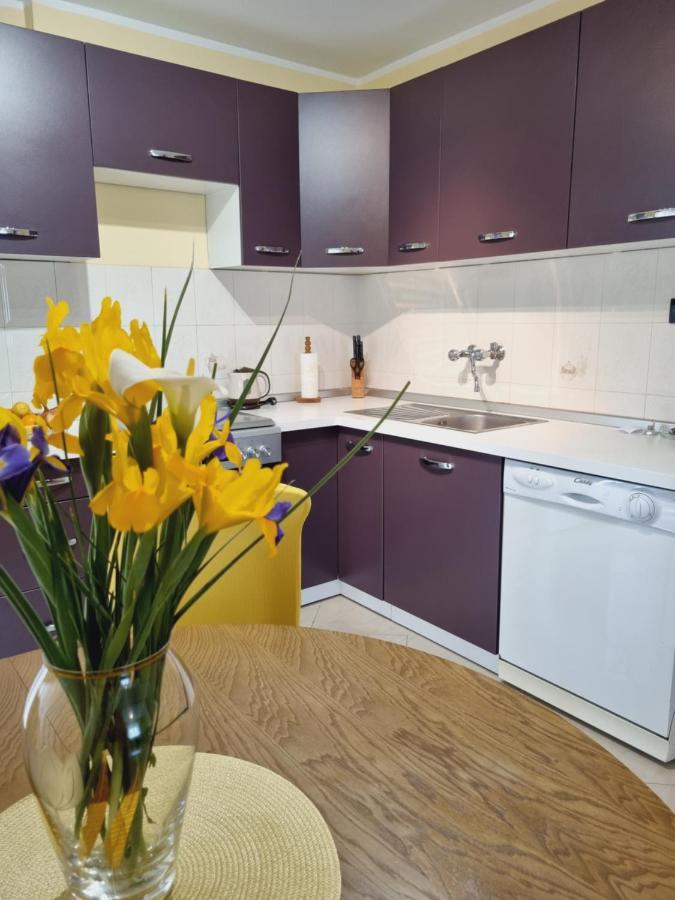 Apartment Sanja Pazin Dış mekan fotoğraf